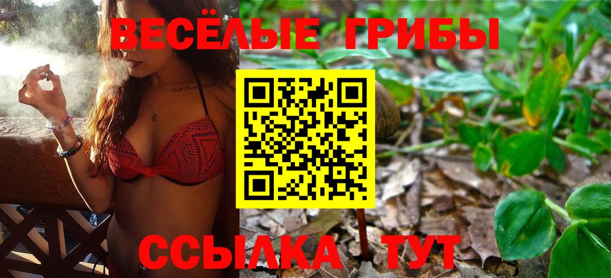 Галлюциногенные грибы мухоморы  Вход с VPN  Троицк 